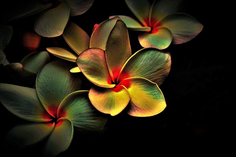 Time Manipulation Image